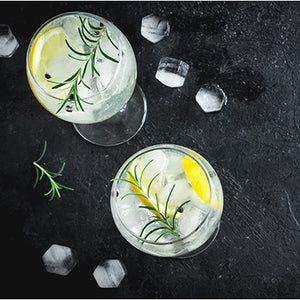 Gin 1689 wins Gold at The Gin Masters